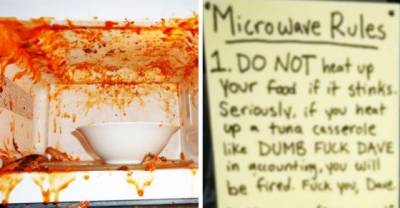 Microwave Rules Explain Why You Shouldn&rsquo;t Be a &ldquo;Dumb F*ck&rdquo; Like Dave