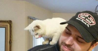 Luna&rsquo;s Rescue Journey From Stray Life To Forever Home