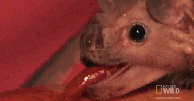 12 Creepy Things That Will Weird You Out. Beware of #8!