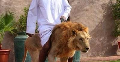 This Is What Millionaires In Dubai Do With Their Money.