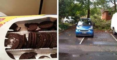 22 Despicable Things Done By The Worse People Ever