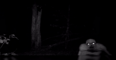 He Set Up A Hidden Trail Cam To Catch Poachers. But What The Camera Caught Instead Made His Jaw Drop