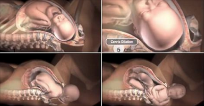Slighty Scary Video Shows Exactly How A Womans Body Adjusts To Give Birth