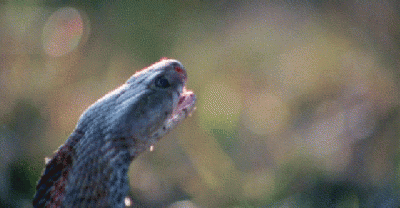You Will Believe In The Terror After Seeing These GIFs