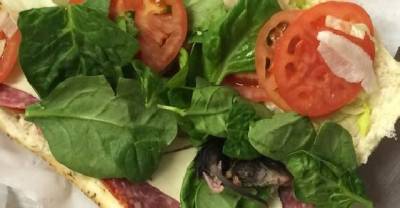 Dead Rodent Found In Subway Sandwich In Lincoln City, Oregon