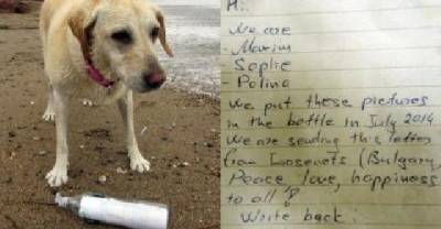 Dog Finds A Bottled Message On The Beach From 3500 Miles Away