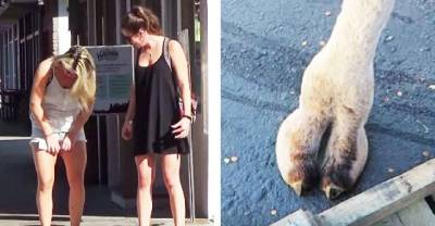 Prankster Spots The Perfect Camel Toe While In Public