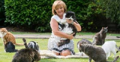 Woman Spends &pound;90,000 a Year Caring for Abandoned Cats. Her Husband Doesn&rsquo;t Mind At All!