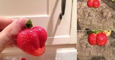 If These Pics Turn You On You Might Have A Dirty Mind.