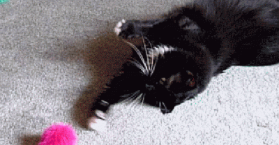 14 Problems All Lazy People Have Faced