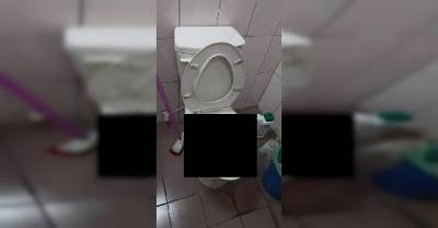 This Is Not Something You Want to Find in Your Toilet