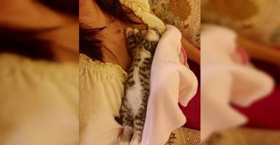 Junk Yard Kitten Experienced His First Hug, Couldn't Stop Cuddling His Rescuer