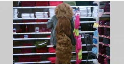 Whenever You Want To Feel Better About Your Life Just Go To Walmart. You're Welcome