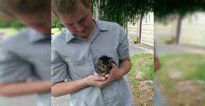 Tiny Stray Kitten Walks Up to Man, Asking to Be Adopted