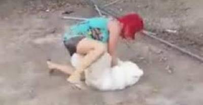 Woman High On Drugs Goes At It With Her Teddy Bear!