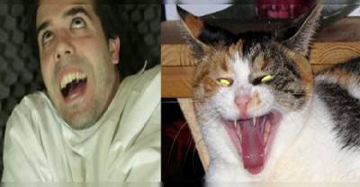 Scientists Now Say Having A Cat Might Cause Mental Illness...And The Evidence Is Scary.