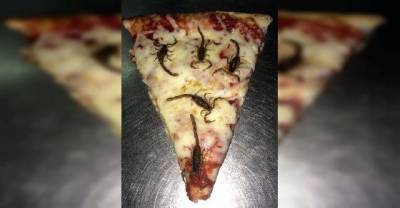 18 Instances Of &ldquo;Fu*k That, I&rsquo;ll Pass&rdquo; To The Absolute Extreme