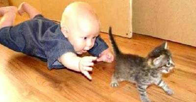 15 Pics Of Babies With Kittens That Will Make Your Heart Melt