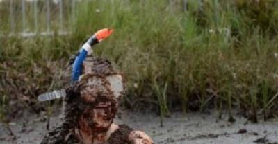 10 Of The World&rsquo;s Most Bizzare And Unusual Hobbies