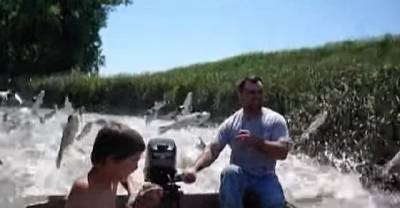 Kids Spot A Fish Jump Out Of The Water. In A Few Minutes... Pandemonium!