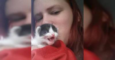 Woman Who Can&rsquo;t Have Children Finds Kitten Who Needs A Mom