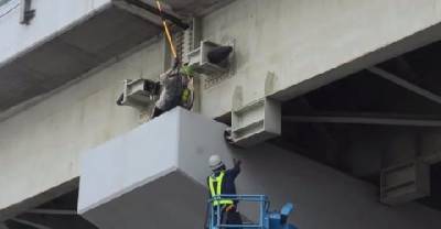 20 People Worked Together To Save A Kitten That Was Trapped Under A Highway Bridge
