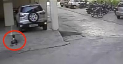 Horrifying Footage Shows Moment Three Year-Old-Boy Is Crushed By Reversing Car