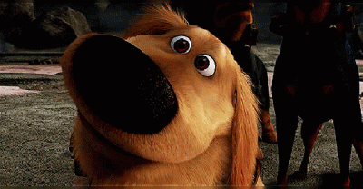 11 Surprising And Secret Ways Your Dogs Says &ldquo;I Love You&rdquo;