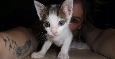 Rescue Kitten Found Just Hours Old Turned Around By Love