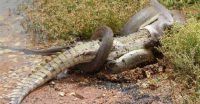 15 Pictures Of Nature That Are One Big NOPE