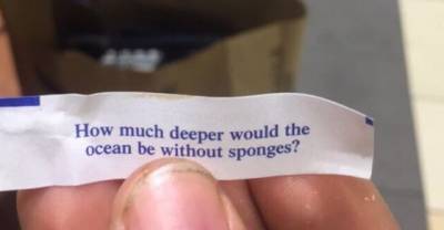 15 Awkward Questions That Will Never Be Answered By Anyone!