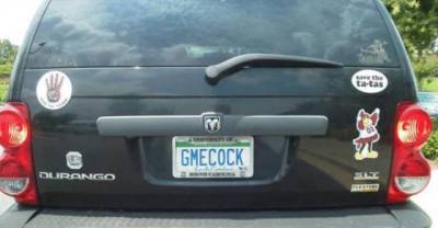 People Who Tried To Stimulate Others Via License Plates