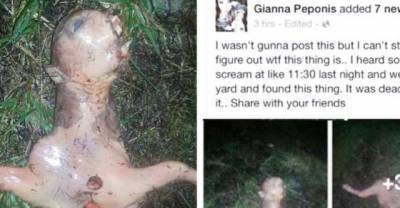 People Are Going Crazy After Seeing A Mysterious Alien-Like Creature In California!