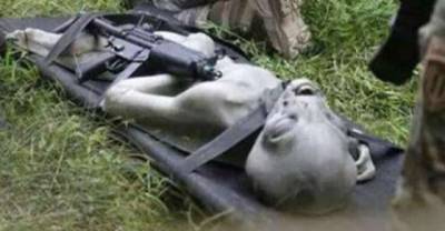 Video Of Alleged Alien Recovered By The Military Goes Viral