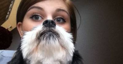 Epic Dog Beards