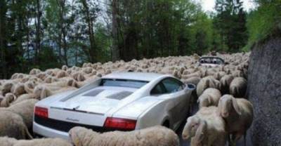 18 Hilarious Fails Of Most Epic Proportions