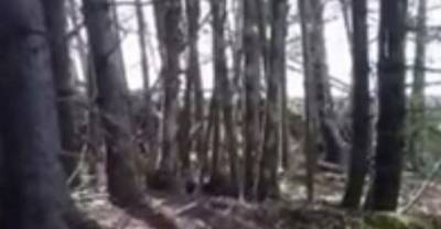 Spooky Footage Of The Earth 'Breathing' Has Baffled Social Media
