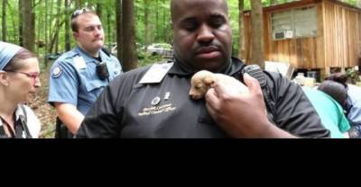 Officers Rescued Over 500 Helpless Puppies From A Monster. Now Watch What Happened Just One Year Later...
