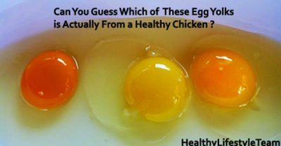 Can You Tell Which Of These Yolks Comes From A Chicken That Is Actually Healthy? I Had No Idea..