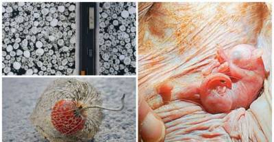 19 Rare Pictures You&rsquo;ve Probably Never Seen Before
