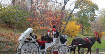 The Truth Revealed About Those Romantic Carriage Rides.