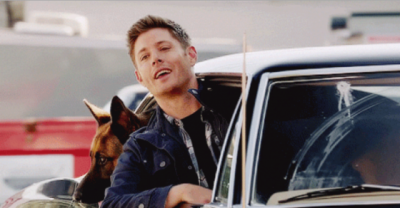The Cast Of "Supernatural" As Dogs