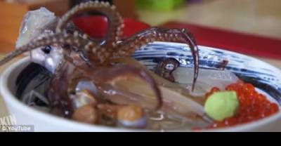 OMG! This Squid Came Back To Life As It Entered The Diner's Mouth