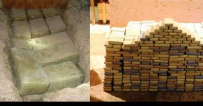 WTF! Colombian Farmer Finds Lost Pablo Escobar Stash Of Drug Money Worth $600,000,000 Buried On His Farm
