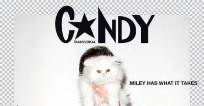 Is This Miley Cyrus&rsquo; Most Offensive Shoot Ever? Star Poses In Jaw-Dropping Snaps