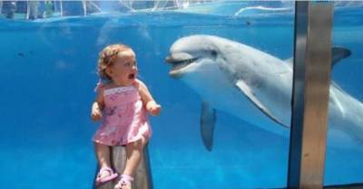 Enjoy 18 Of The Most Hilarious Tourist Fails Ever Captured On Camera