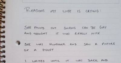This Man&rsquo;s Wife Cries About Absolutely Anything So He Started Writing The Reasons Down