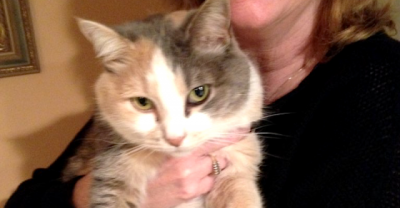 A Mom And Dad Texted Their Kids To Say They Buried The Cat. 30 Minutes Later, They Got A Visitor.