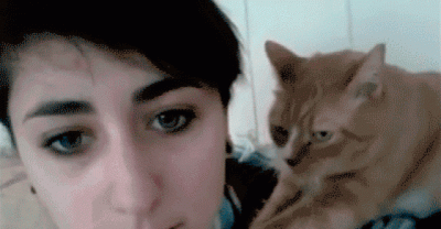 A Deep Attachment Of Cats With Their Owners! Their Love For Us Is Immortal!