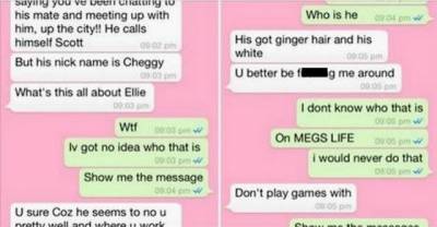 This Guy Caught Wind Of His Girlfriend's New Friend And Trolls Her